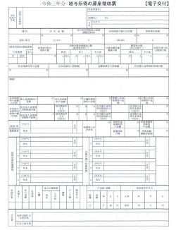 給与所得の源泉徴収票サンプル